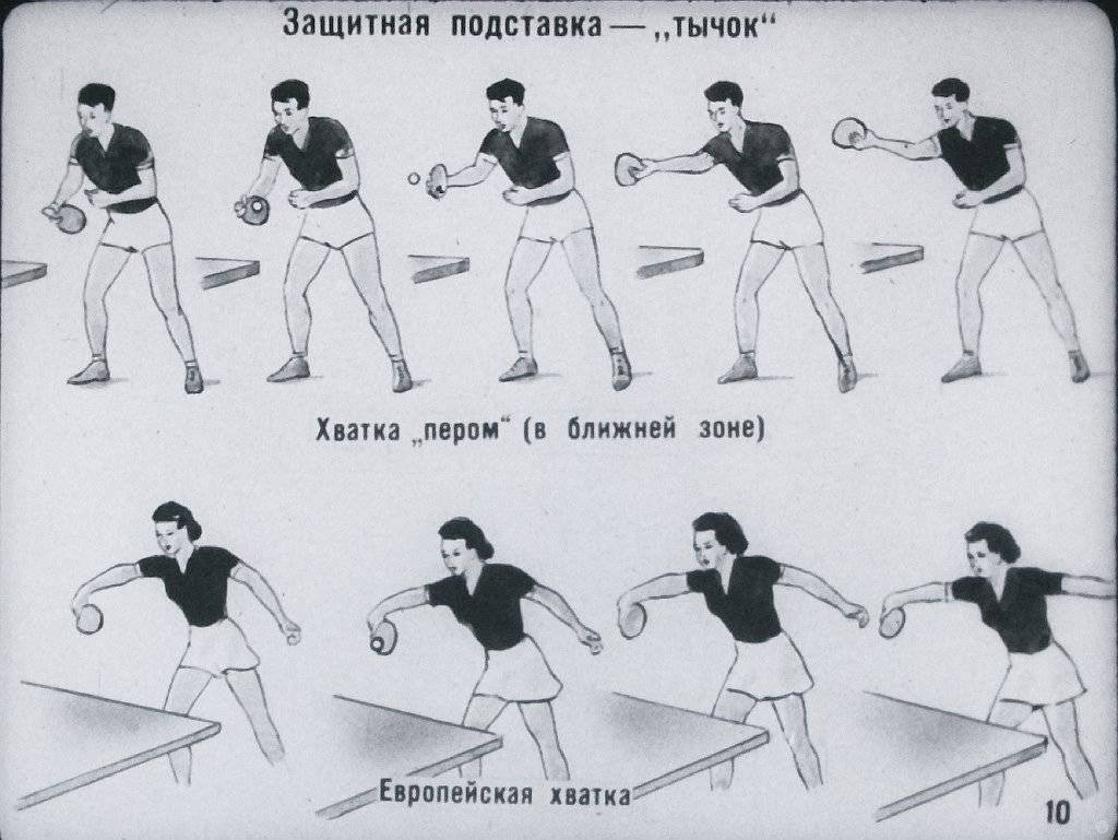 Уроки настольного тенниса для начинающих: бесплатные видео для самостоятельного обучения - все курсы онлайн