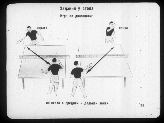 Настольный теннис - игра, завоевавшая сердца миллионов людей.