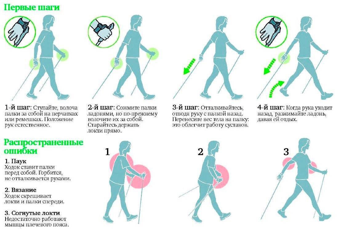 Скандинавская ходьба с палками: техника, польза и противопоказания