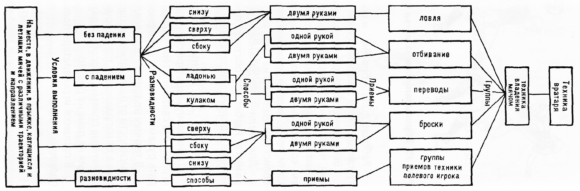 Составьте схему последовательного обучения ударам ногой и опишите технику перечисленных приемов