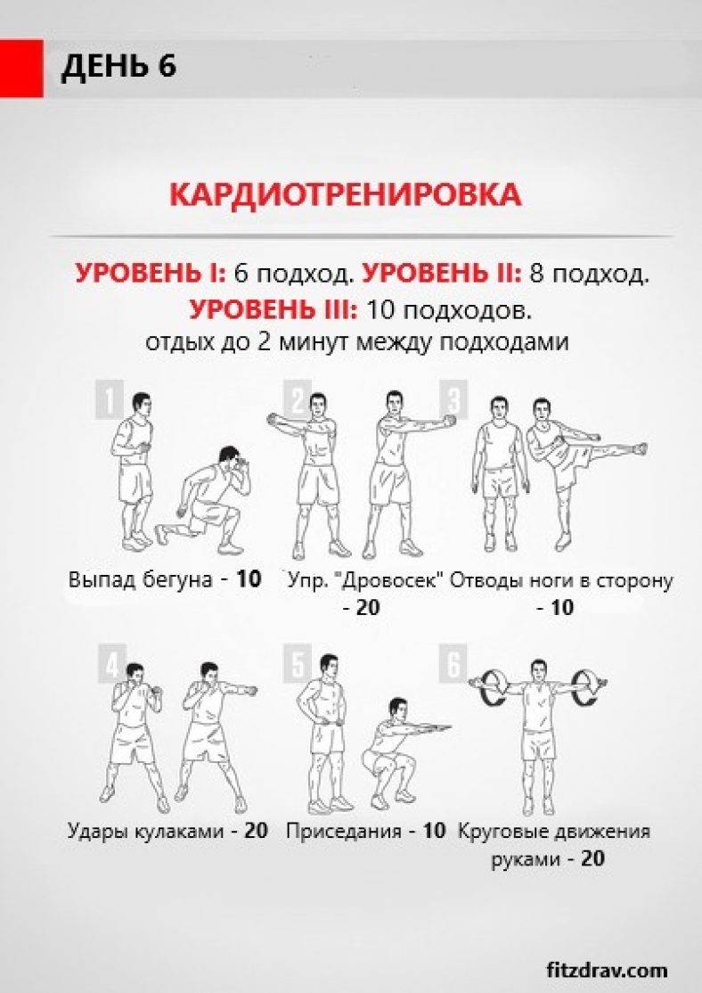 Что такое кардио-тренировка? | the base