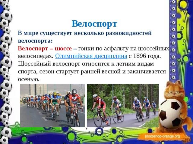 Проект на тему велоспорт и здоровье