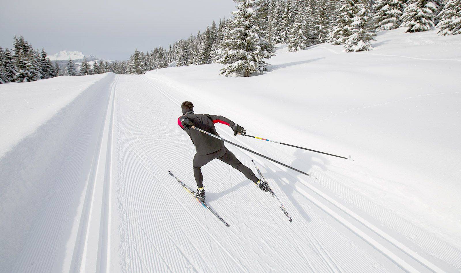 Лыжный спорт коньковый ход