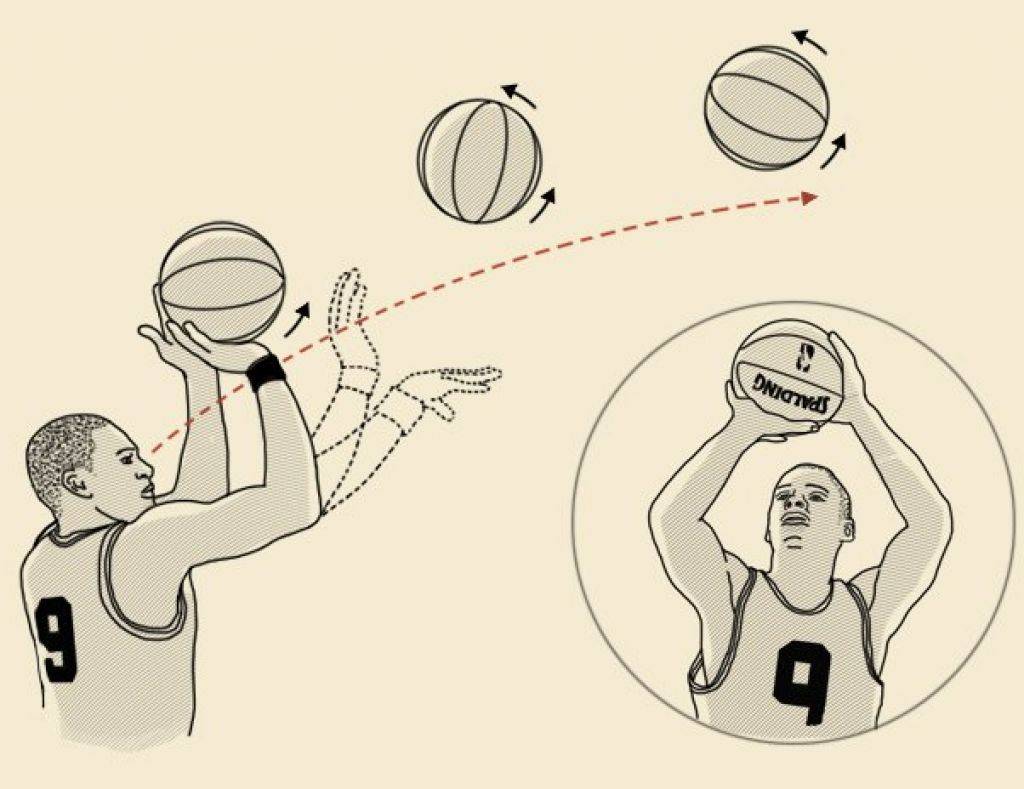 Как кинуть со. Техника бросков мяча в баскетболе. Техника бросания мяча в кольцо в баскетболе. Техника броска мяча в кольцо в баскетболе. Как правильно кидать баскетбольный мяч в кольцо.