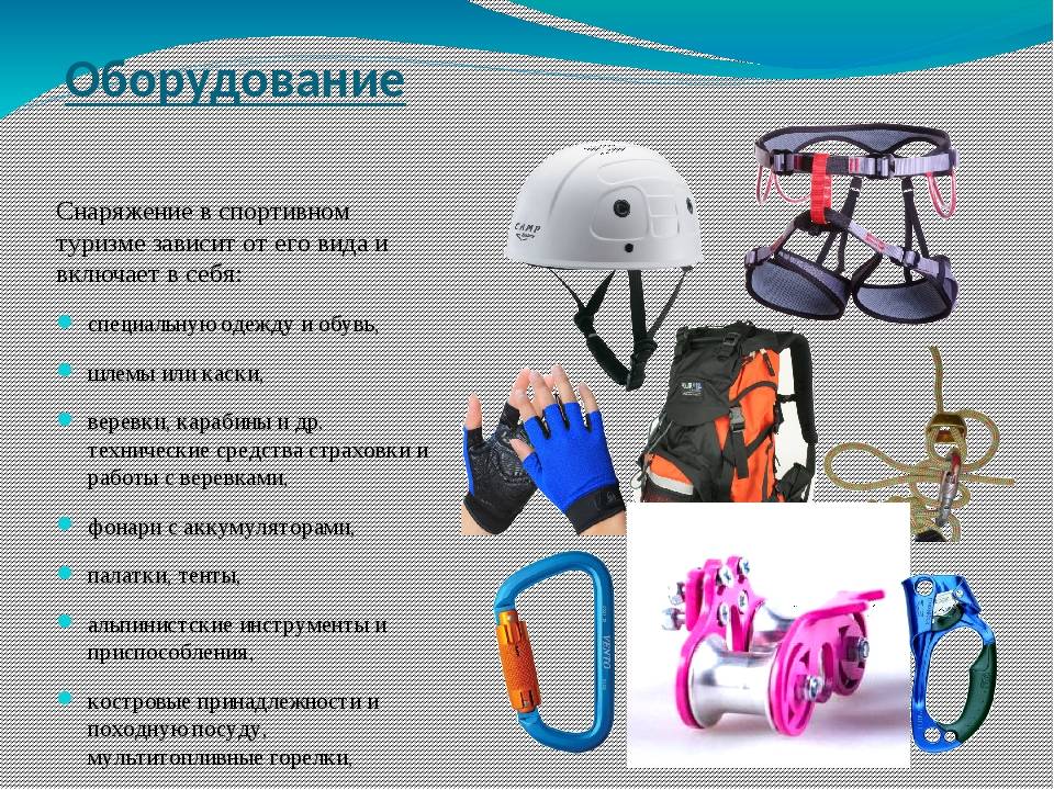 Ездовой спорт (гонки на собачьих упряжках)