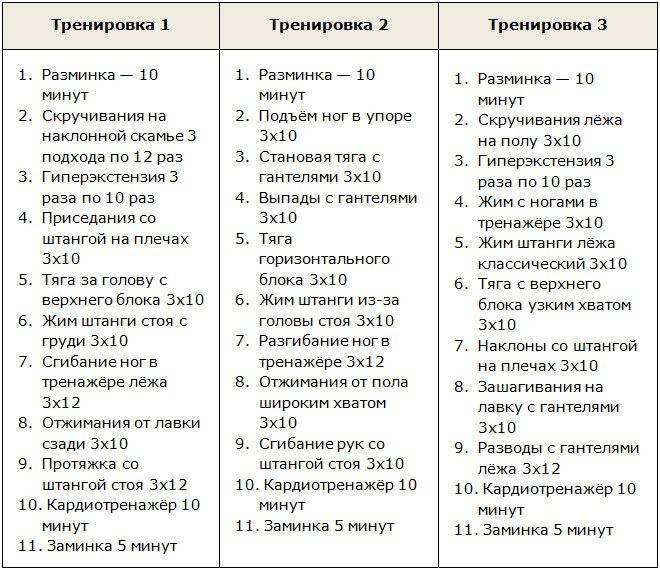 Тренировка для похудения в зале: комплекс упражнений. программа тренировок для похудения - tony.ru