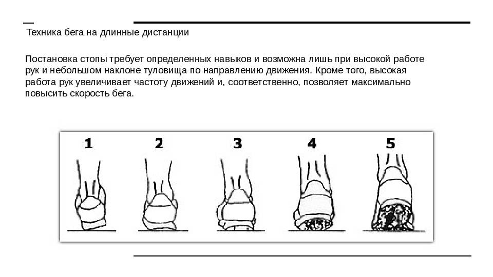 На какой картинке изображена правильная постановка стопы при беге на средние дистанции тест ответы