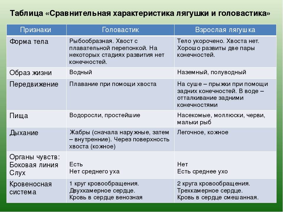 Используя текст параграфа о рыбах и амфибиях составьте таблицу или схему содержащую краткую