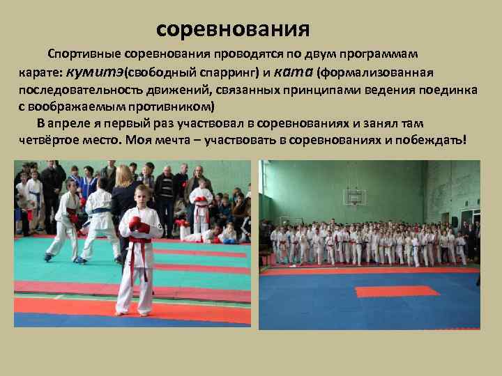 Определимся в понятиях или каратэ спортивное и традиционное