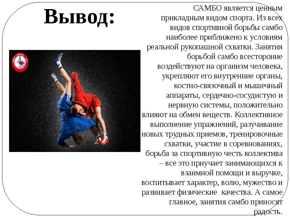 Термины самбо. Самбо вид спорта. Виды боевых искусств. Презентация на тему самбо. Презентация на тему борьба.