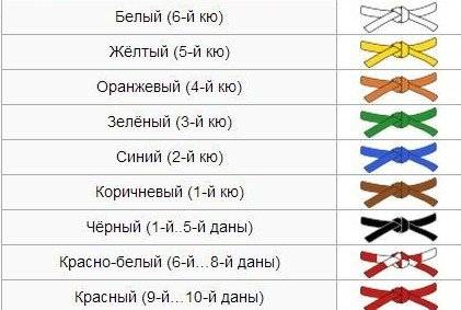 Глава 13 специальная физическая подготовка в борьбе дзюдо. дзюдо [система и борьба: учебник]