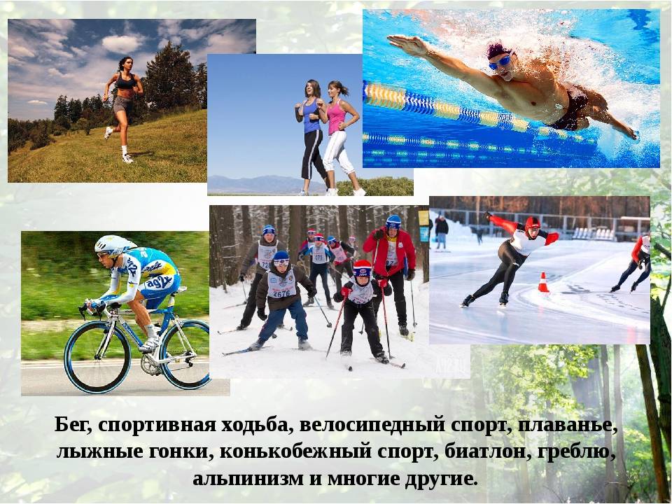 Спорт дает познание. Виды спорта. Бег на лыжах вид спорта. Циклическими видами спорта занимаются. Ходьба бег плавание.