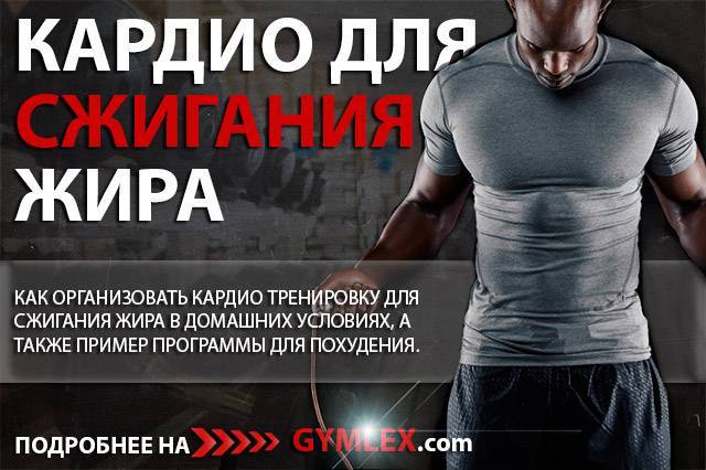 Кардиотренировки для сжигания жира и похудения | fitbreak! всё о фитнесе и бодибилдинге