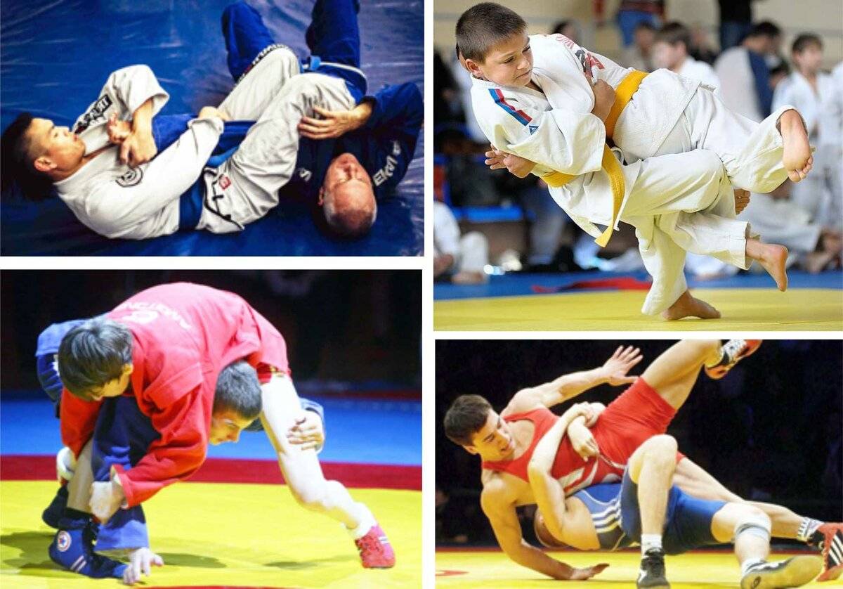 Спортивная борьба BJJ