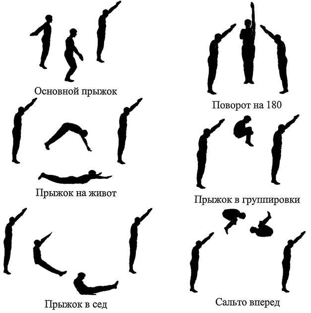 Элементы прыжков. Базовые упражнения на батуте. Упражнения на батуте для новичков. Базовые элементы на батуте. Батут схемы упражнений.