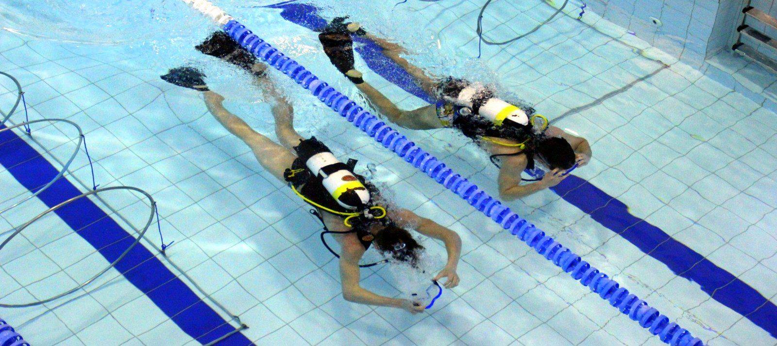 Плавание в ластах соревнования